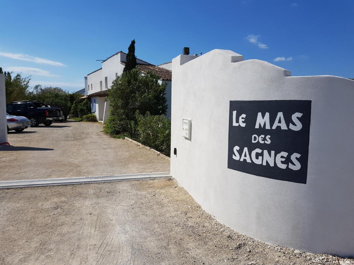 Le Mas Des Sagnes Saintes-Maries-de-la-Mer Dış mekan fotoğraf