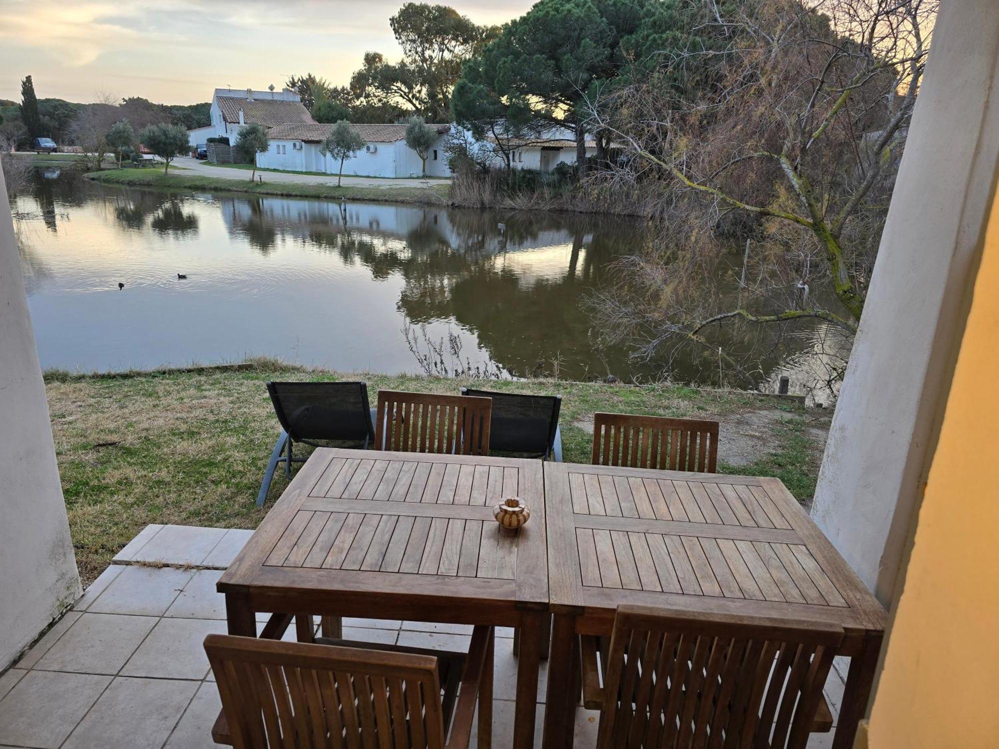 Le Mas Des Sagnes Saintes-Maries-de-la-Mer Oda fotoğraf